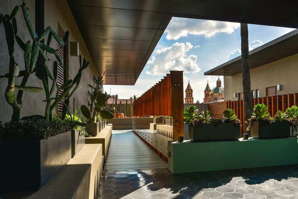 Hotel Criol Querétaro Екстериор снимка The rooftop garden